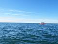 Wales-Nome 073